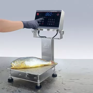Counting bench scale DEFENDER™ 6000 WASHDOWN - I-D61XW | Interbalances