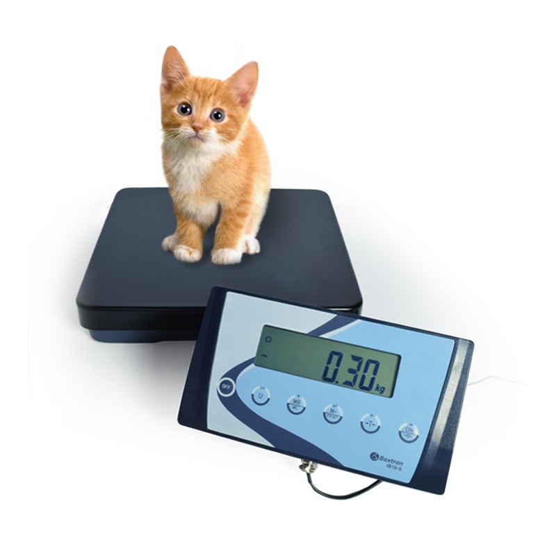 Electronic veterinary weighing scale - Pet - Soehnle Industrial