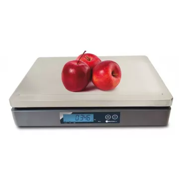 Top loading scale BAXTRAN SL | Interbalances