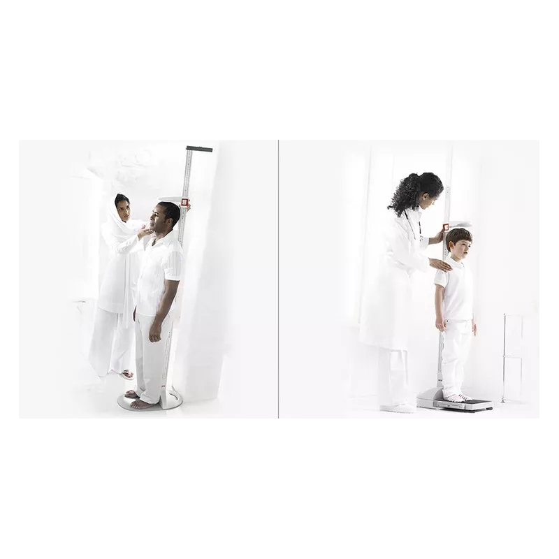 Stadiomètre mobile démontable SECA 217 | Interbalances