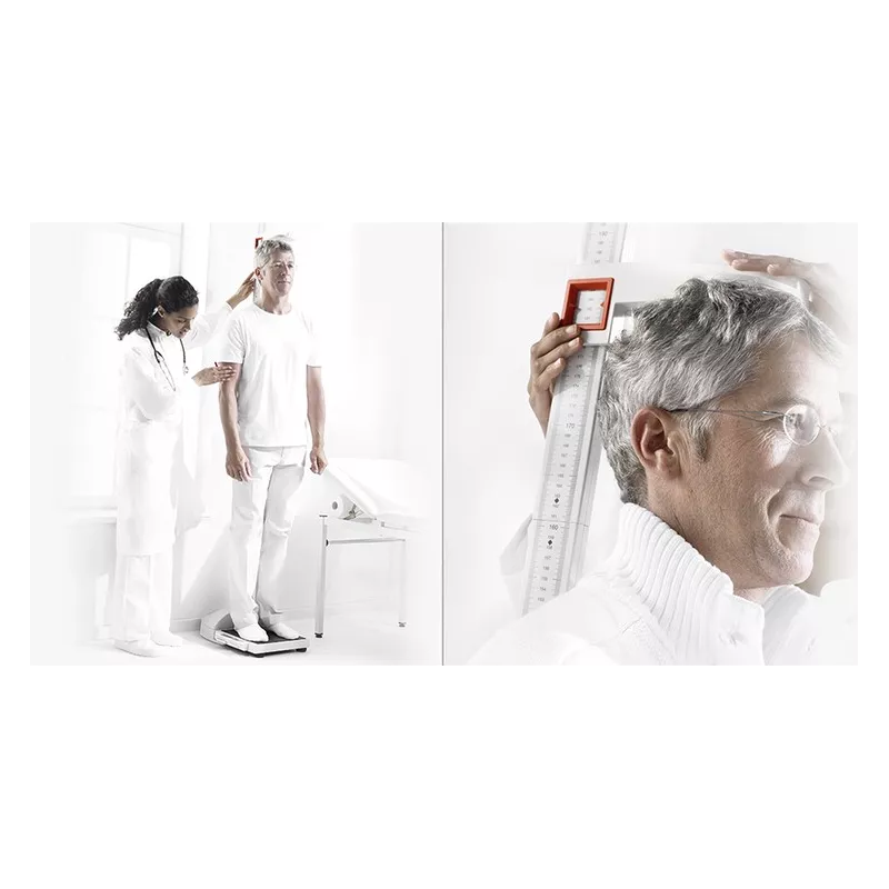 Stadiomètre mobile démontable SECA 217 | Interbalances