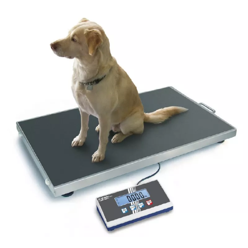 Platform scale KERN EOS | Interbalances