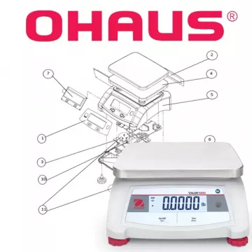 Pièces détachées balance agroalimentaire OHAUS VALOR™ 1000 | Interbalances