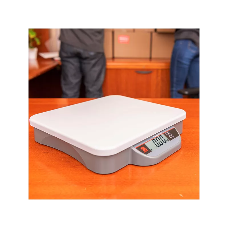 Balance d’expédition OHAUS COURIER™ 1000 | Interbalances