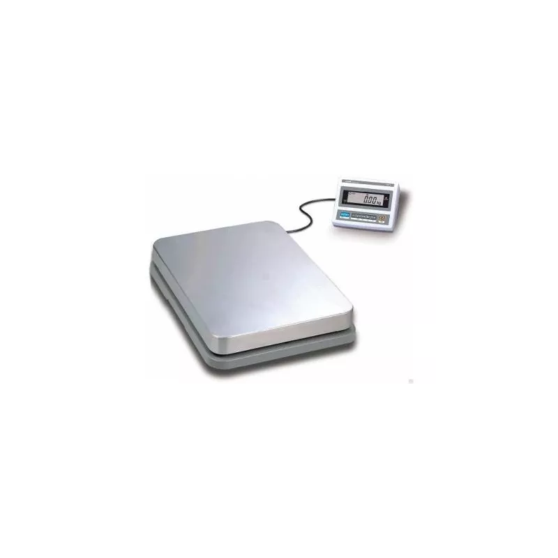 Bench Scale with large platter and pivoting display - CAS DB-II SR | Interbalances