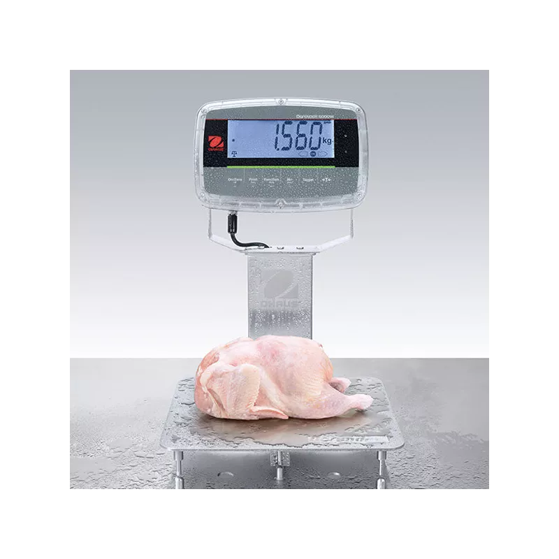 Indicateur OHAUS DEFENDER™6000 i-DT61PW | Interbalances