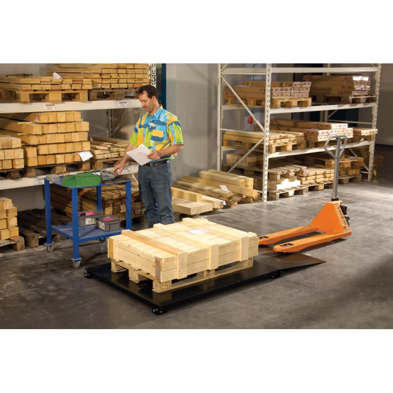 Balances au sol OHAUS Defender™ 5000 - DF52 | Interbalances