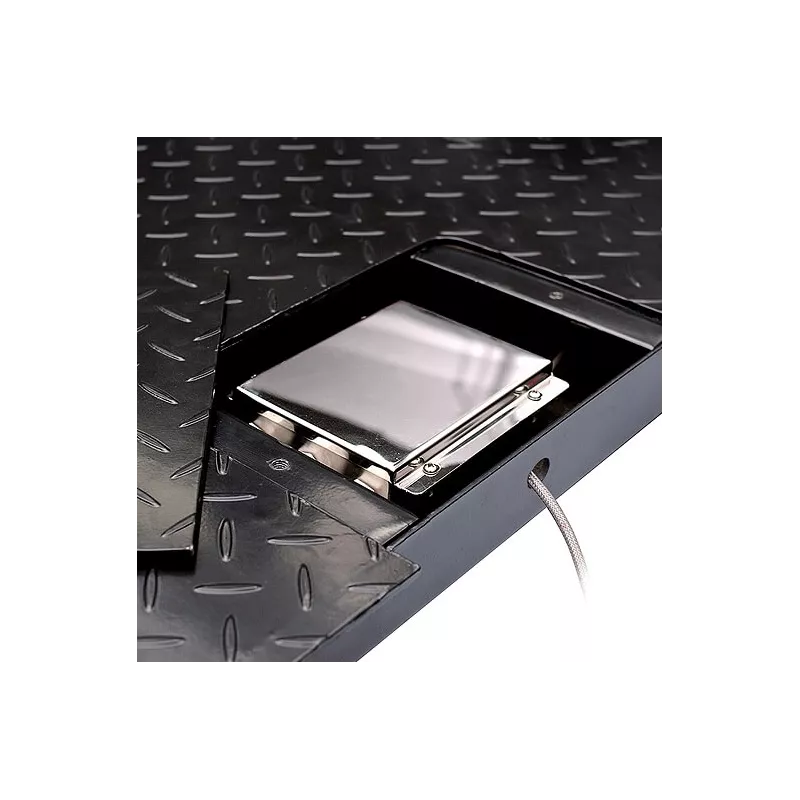Pèse-palettes lavable au jet Defender™ 5000 – DFP52