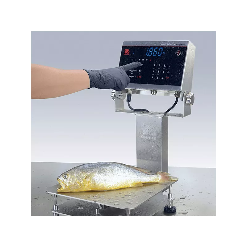 Indicateur OHAUS DEFENDER™6000 i-DT61XWE | Interbalances