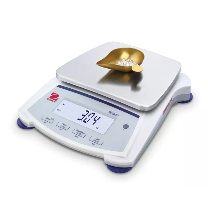 Balance de bijouterie OHAUS SCOUT™ SJX | Interbalances