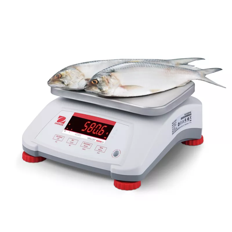 Balance alimentaire étanche OHAUS VALOR® 4000 ABS | Interbalances