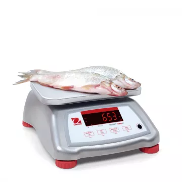 Balance alimentaire certifiée et étanche OHAUS VALOR® 4000 INOX