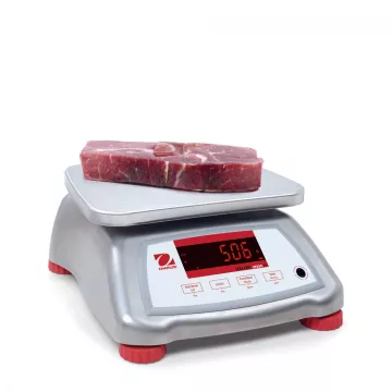 Stainless Steel Fast and Durable Food Scale