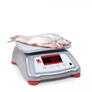 Stainless Steel Fast and Durable Food Scale