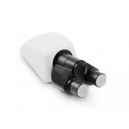 Oculaires | Interbalances