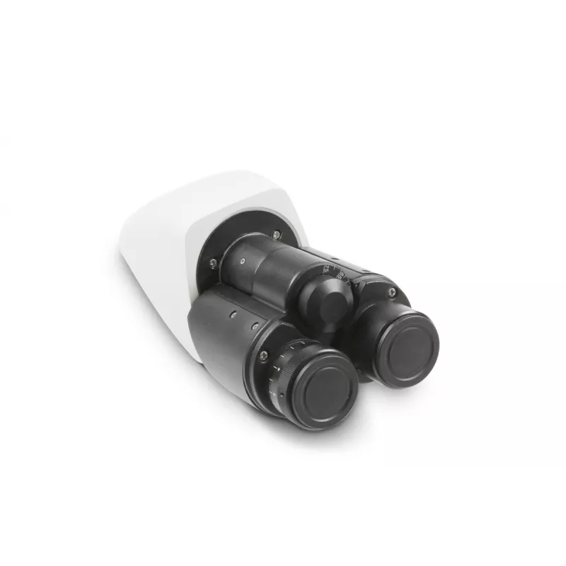 %product-name% %separator% %shop-name%