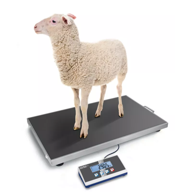 Balance vétérinaire KERN EOS | Interbalances