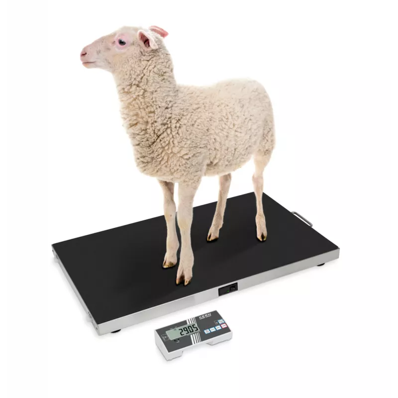 Balance vétérinaire KERN EOS-A