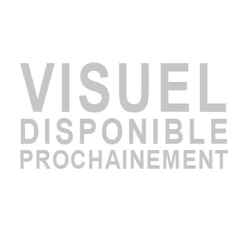 Alimentation de remplacement MARTE EVO 13.8V