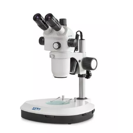 Microscopes stéréo | Interbalances