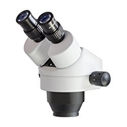 Têtes de microscope stéréo OZB-M