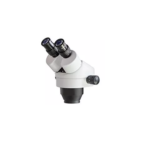 Accessoires pour microscopes stéréo | Interbalances