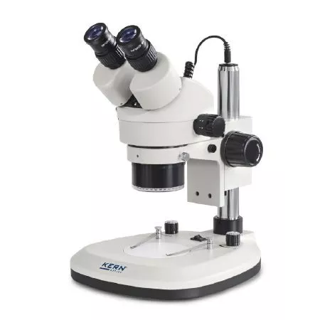 Microscopes stéréo | Interbalances