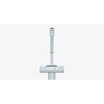 EMR ready column scale with capacity of up to 300 kilograms, Class III medically approved SECA 704 | Interbalances