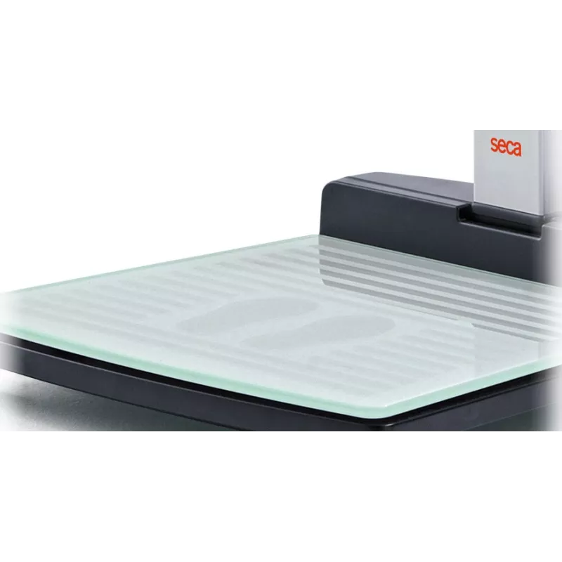EMR ready ultrasonic measuring station for height and weight, Class III medically approved SECA 287 | Interbalances
