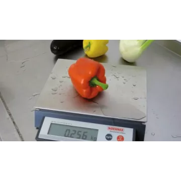 Balance compacte pour application en zone humide SOEHNLE 9115 | Interbalances