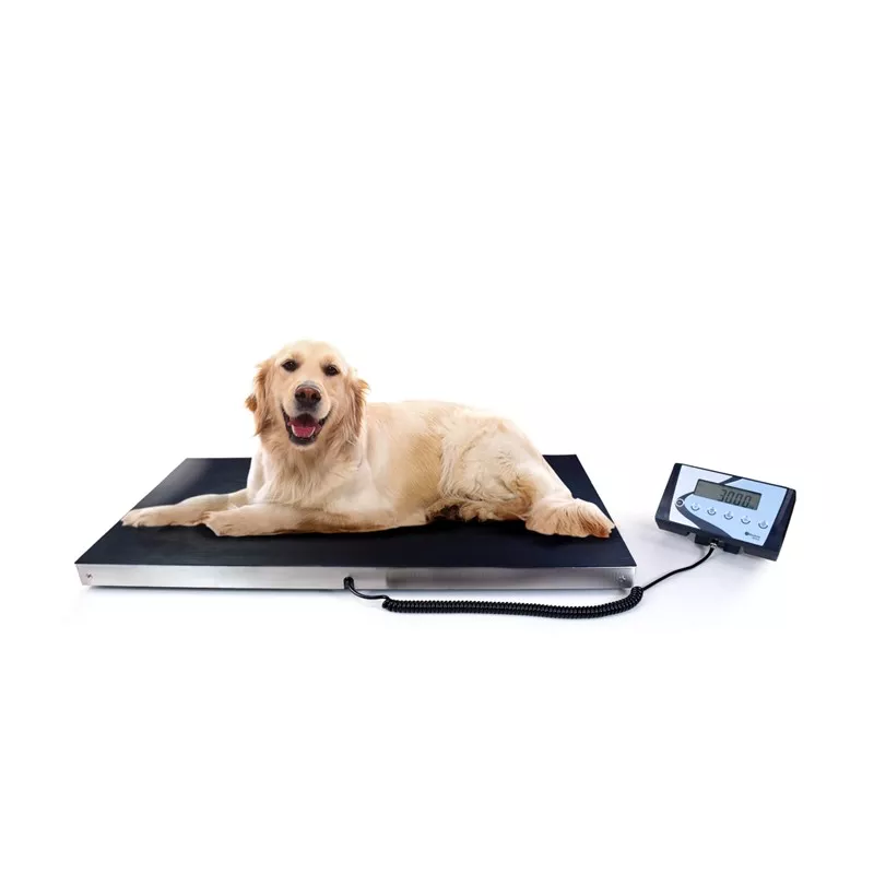 Veterinary scale BAXTRAN AIS/AIS-W | Interbalances